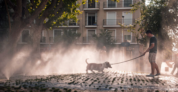 Seville Summer